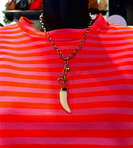 Collier corne en acier 